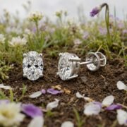 Oval Solitaire Moissanite Four-Prong Stud Earrings - Image 3
