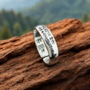 Shan Gui Protective Coin Adjustable Ring - Image 5