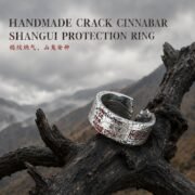 Shan Gui Protective Coin Adjustable Ring